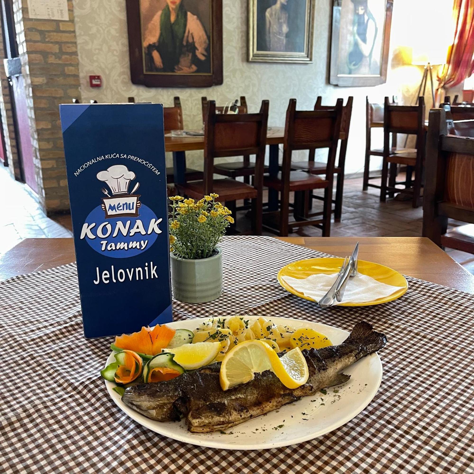 Hotel Konak Tammy Platicevo - Sabac Luaran gambar